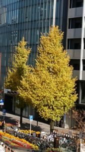 %ef%bd%88%ef%bd%90%e7%94%a8%e3%81%ae%e5%86%99%e7%9c%9f%e3%80%80%e9%8a%80%e6%9d%8f